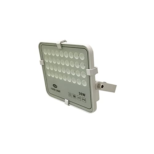 Foco Proyector LED Exterior Iluminación IP66 Color Blanco Frío (6000K) 30W 2700 Lúmenes 1X Cover