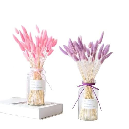 Flores Secas Natural Hare Tails 60 Piezas 60cm miniatura 4