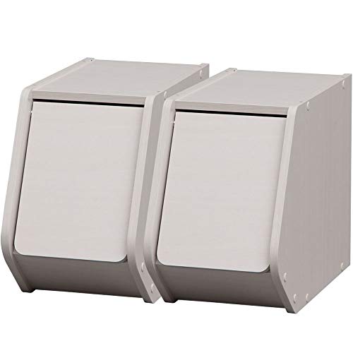 アイリスオーヤマ(IRIS) 収納ボックス オフホワイト 20×38.8×30.5cm STB-200D 2個セット