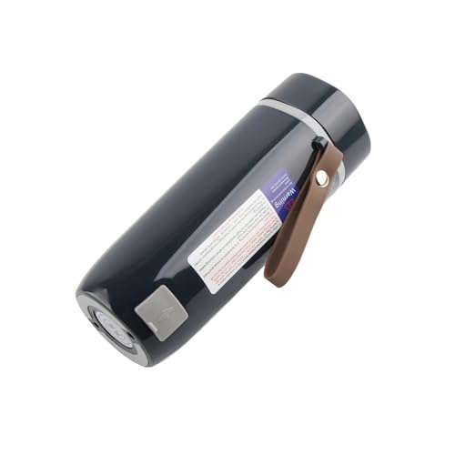 Hervidor eléctrico AYNEFY ajustable temperatura portátil miniatura 2
