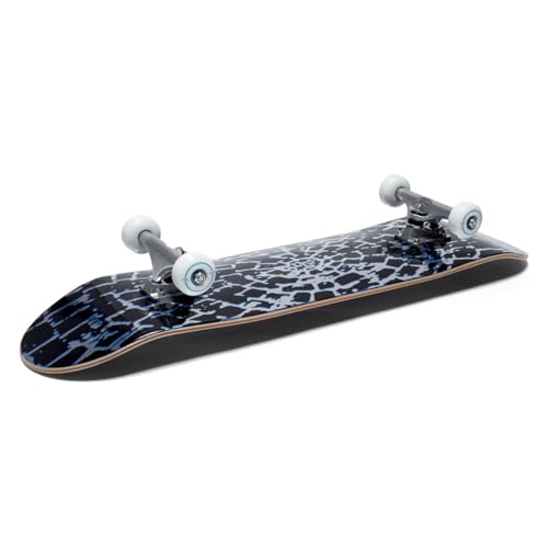Image of [CCS] Skateboard Complete | Maple Wood | Professional Grade | Fully Assembled with Skate Tool & Stickers | Adults, Kids, Teens, Youth | Boys & Girls