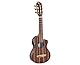 Ortega Guitars Reise Gitarre Elektro-Akustisch – Mini Travel Series – Ebenholz, Natur (RGL5EB-CE)