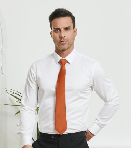Image of DecTwig Men's Ties Solid Color Formal Neckties 3.15 inch (8CM) Black Ties For Men