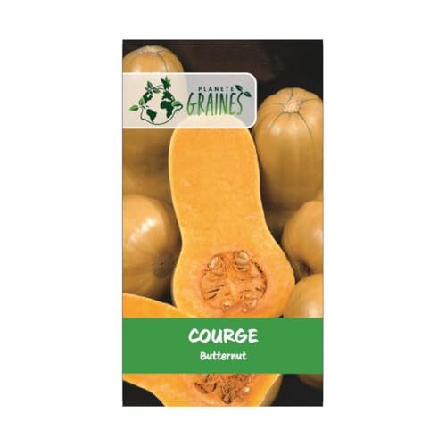 100 graines de Courge butternut - Courge cacahuète - Doubeurre -c...