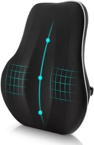 Newgam Lumbar Support Pillow/Back Cushion,Memory Foam Orthopedic Backrest with Breathable 3D Mesh for Car Seat,Office/Computer Chair,Wheelchair and Recliner,Ergonomic Design for Back Pain