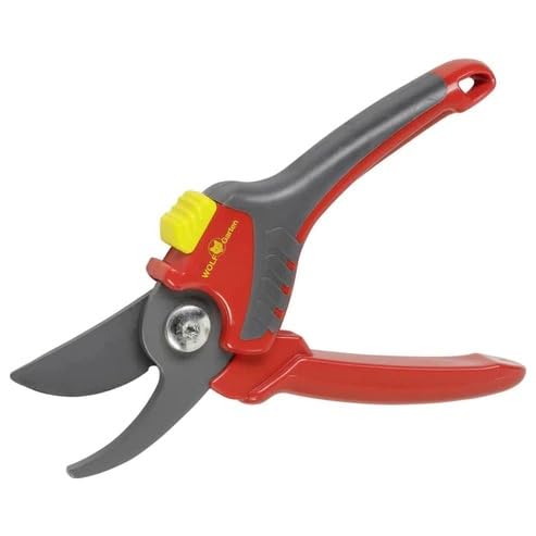 WOLF GARTEN FIELDSTAR BYPASS SECATEURS PREMIUM PLUS (RR 4000) 22mm cut (B0CD411QV9) Amazon Price History, Amazon Price Tracker