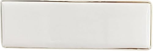 Miniatura 13 de TiMOVO Lápiz óptico para iPad, Apple Pencil con carga inalámbrica magnética y rechazo de palma sensible a la inclinación para iPad Pro de 12.9