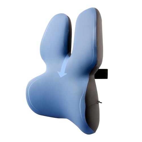 HEYPORK Lumbar Support Pillow for Office Chair Car Seat Back Support Cushion Ergonomic Lumbar Pillow for Back Pain Relief Memory Foam Back Support Pillow Desk Chair Back Cushion w/Strap