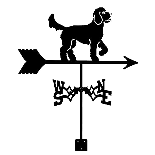 Indicateur de direction du vent et girouette extérieure en métal