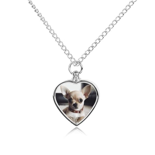 Collier urne funéraire chien et chat avec pendentif cœur avion sur le lac pour cendres