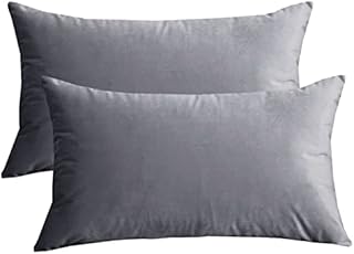 Lutanky Velvet Cushion Covers (Pack of 2) Lovely Rectangle Throw Pillow Cases Soft Solid Decorative Pillow Covers for Sofa Bedroom Car 12x20 Inch 30 x 50 cm (light grey, 2 pieces)