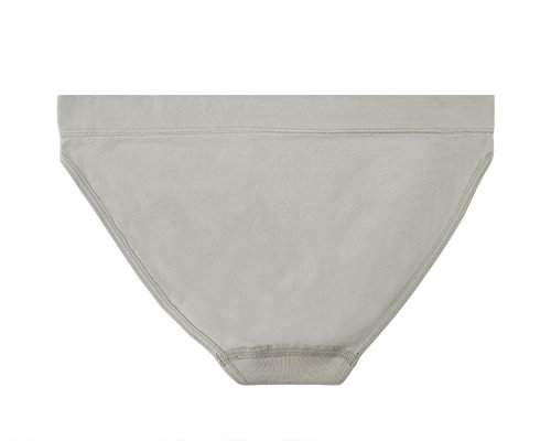 Women's 3 Pack Seamless Low Rise Bikini Panties2