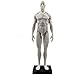 Global-Dental 11 inch Male Human Anatomical Model Art Anatomical Figure White