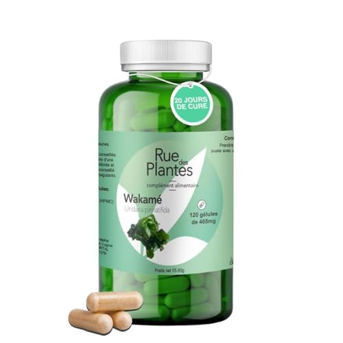 Wakamé 120 Gélules – Algue Brune Naturelle – Source d’Iode – Favorise le Métabolisme et l’Équilibre Nutritionnel – Cure 20 Jours |...