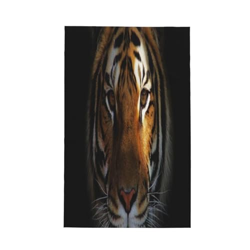 zEERې }CNt@Co[̃btLb`^Ii킢CIj