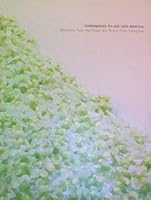 Contemporary Art and Latin America: Selections from the Diane and Bruce Halle Collection 0911611282 Book Cover