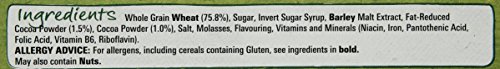 Nestlé Shreddies The Coco One Cereal, 500g - 3