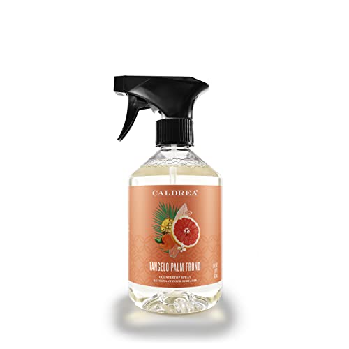 Caldrea Multi-surface CounterTop Spray Cleaner Made With Vegetable Protein Extract Tangelo Palm Frond Scent 16 Oz