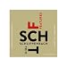 Schlippenbach Trio - Features