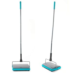 Beldray LA024855TQ Handmatige Tapijtveger met Borstelkam, Perfect voor het Oppakken van Dierenhaar en Vuil, L 27.5 x W…