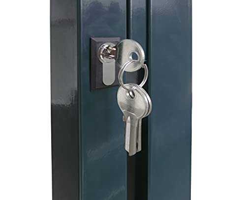 Gartentore Easy mit 100 cm Breite - Farbe und Höhe wählbar (Besonderheit : kein ausrichten der Pfosten notwendig durch Querverbindung !) Tor für Doppelstabmattenzaun (H 100 x B 100 cm, anthrazit))