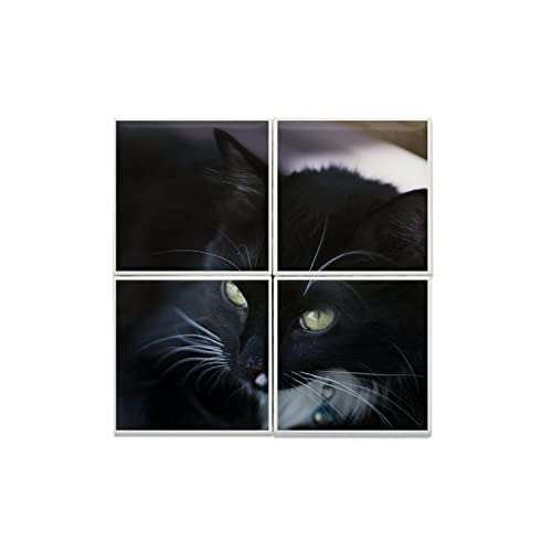 Carreaux Céramique Décoratif Chat Noir et Blanc pour masquer les imperfections murales