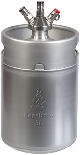Mini 304 Stainless Steel Keg Growler (5L Standard Silver With Spear) #TOP2