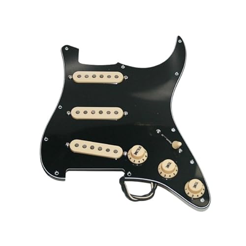 ANZT[ɓKvtFbViGLM^[sbNAbvsbNK[h M^[sbNK[hsbNAbv