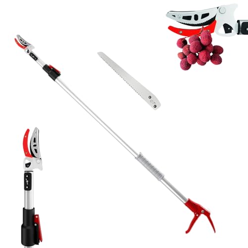 [Arklove]y2iLk2.2mzLk}؂ }؂oT~ y t[c͂ ߉\ t[c Nv u[h @\ ʎȂsȐn ʎ@