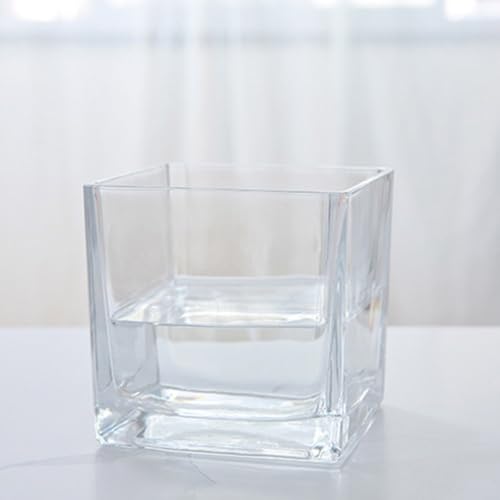 Vase hydroponie verre carré transparent résistant thermique x4