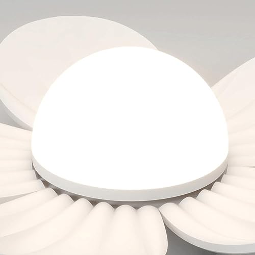 Lámpara LED de techo de lujo para pasillos elegantes y guardarropas 8