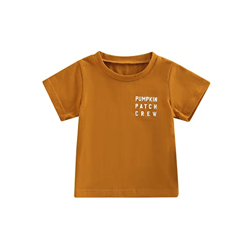 Image of Halloween Outfits for Kids Pumpkin Patch Crew Toddler Short Sleeve Tshirt Top Casual Set Little Boy Girl Cothes