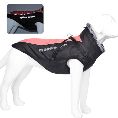 [GIIPET] ~p N n[lX̌^ȓ  xXg ȕR[g  _ExXg ? y EȒP H~ h hWPbg g ybg ^ ^ o| U