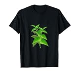 namo-Tee