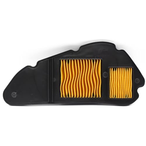 Filtre à air pour Dayang VRF150 contre l'encrassement DY150T-39