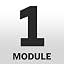 1 x module