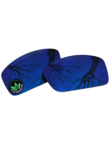 Image of Raydi Polycarbonate Replacement Lenses for Costa Del Mar Rincon 06S9018 Sunglasses