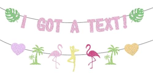 I Got a Text Banner - Love Villa Island Themed Party Decorations, Glitter Banner, Island Party Supplies for Bachelorette Decorations