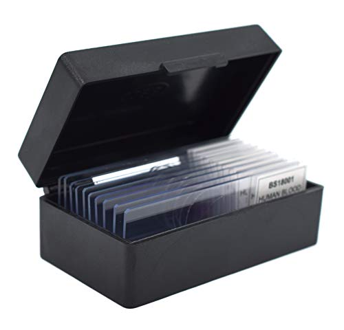 Image of EISCO (Pack of 10) Elodea, Submerged Leaf - Prepared Microscope Slides - 75 x 25mm - Classroom Pack, 10 Slides in Storage Case - Microscopy