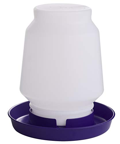 Little Giant® Complete Plastic Poultry Fount | 1 Gallon | Heavy Duty Plastic Gravity Fed Water Container Jar | Waterer for Chickens, Turkeys, Ducks & More | Made in USA | Purple