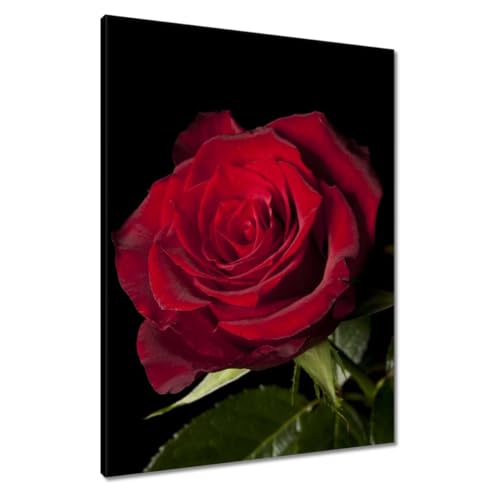 Peinture sur toile belle rose 60x80cm pour illuminer une décoration murale sombre