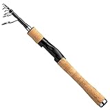 ダイワ(DAIWA) 振出バスロッド トリプルビー 6106TMLFS 釣り竿