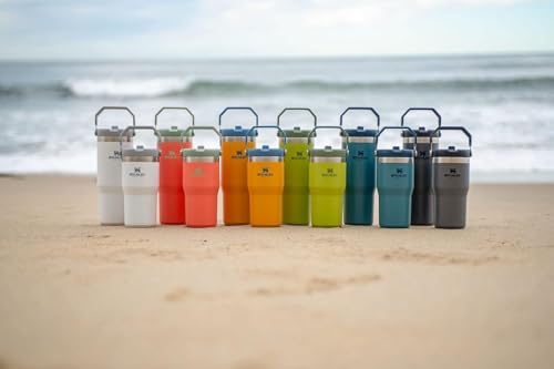 Image of Stanley IceFlow Flip Straw Tumbler with Handle 20 oz | Twist On Lid and Flip Up Straw | Leak Resistant Water Bottle | Insulated Stainless Steel |BPA-Free | Iris