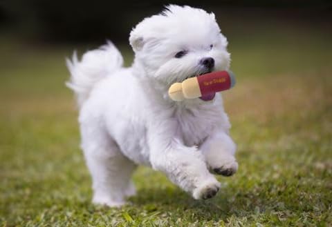 Lustiges Hundespielzeug – Plüsch Getränk-Parodie Mit Quietscher, Für Große & Kleine Hunde