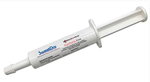 Equipride Foal - Probiotics And Prebiotics Designed To Give Extra Protection At Birth - Oral Paste - Two Doses In One Tube - All Components Are Safe, Natural Biological Products - Diverse Antibodies #TOP13