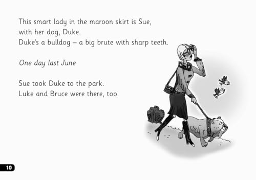 Read Write Inc. Phonics: Black and White Grey Set 7 Storybooks Mixed Pack of 13