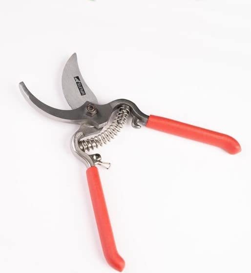 DAP - DOWNHILL AGRO PRODUCTS Drop Forged Bypass Pruner | With Vinyl Grip for Comfortable Use Hand Pruner