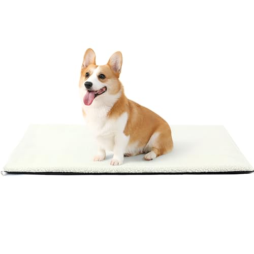 [Tumanld]yybg}bg MzpP[W}bg r?t@[ƔM˃tB g3w\ 60x45cm O\Őێ LE^p RpNg݌v.