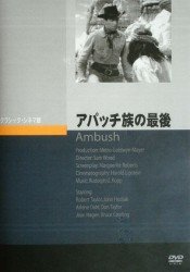 アパッチ族の最後のイメージ画像1