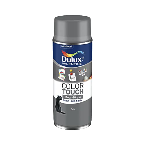 Dulux Valentine Peinture Intérieure et Extérieure Aérosol Color Touch Effet - Gris Mat Effet Magnétique - 400ml
